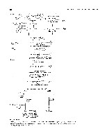 Bhagavan Medical Biochemistry 2001, page 413